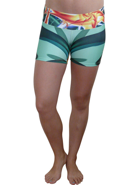 Bird of paradise short