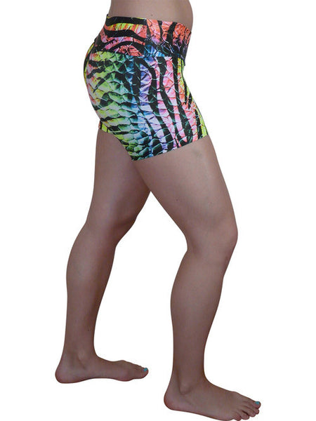 Rainbow Zebra Compression Shorts