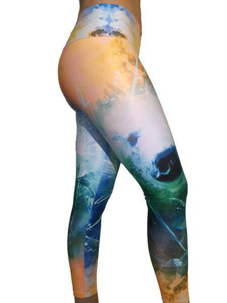 POLAR BEAR COMPRESSION PANTS